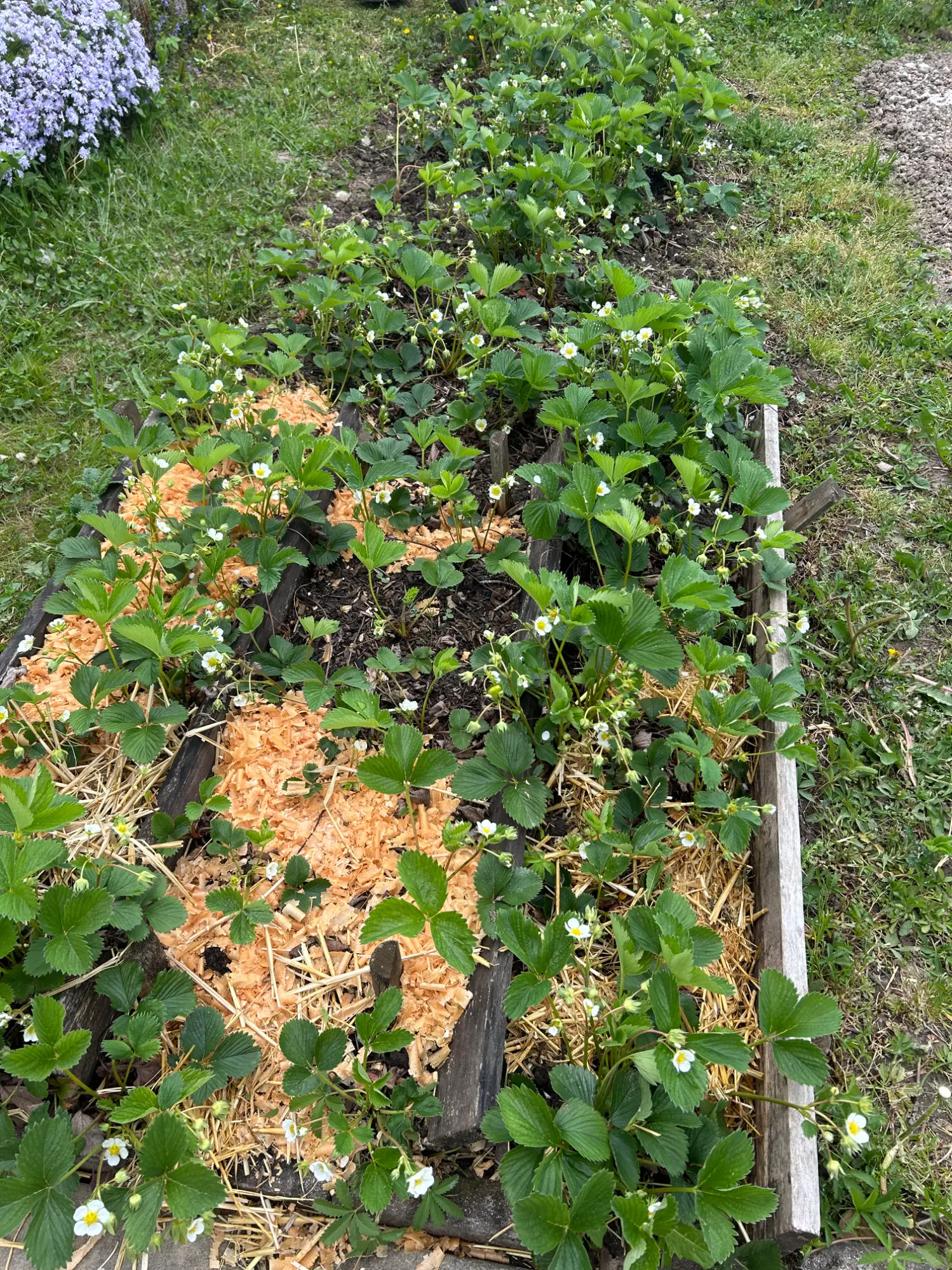 IMG_0694.webp