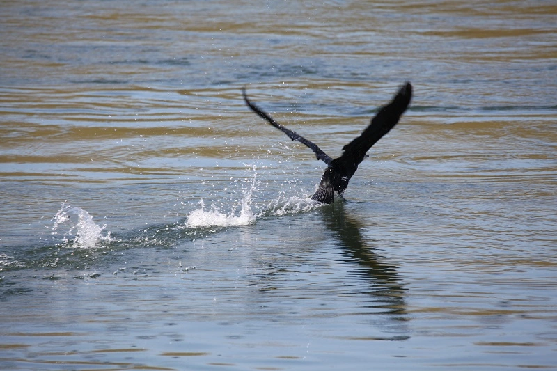 IMG_0756.webp