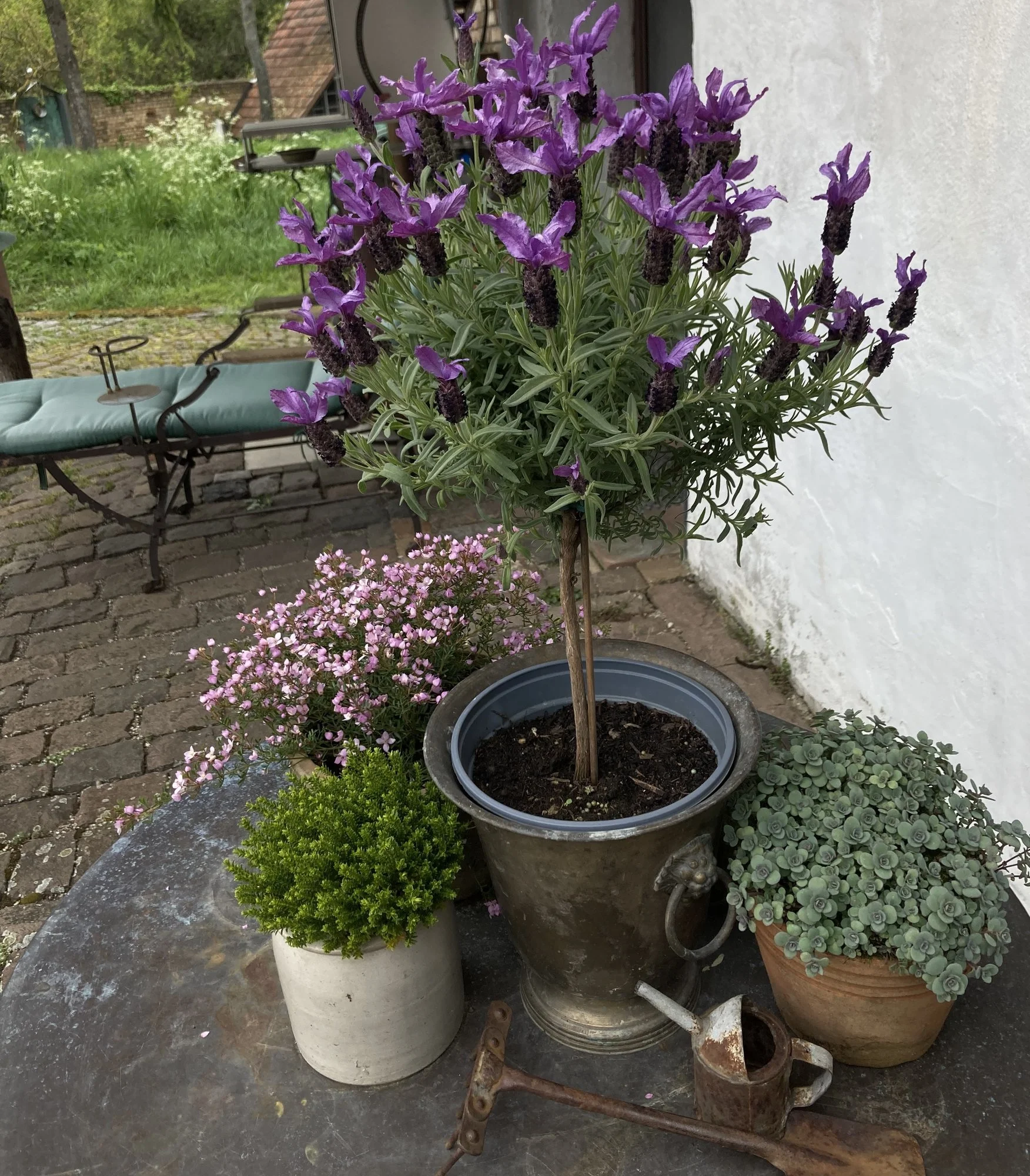 IMG_0778.webp