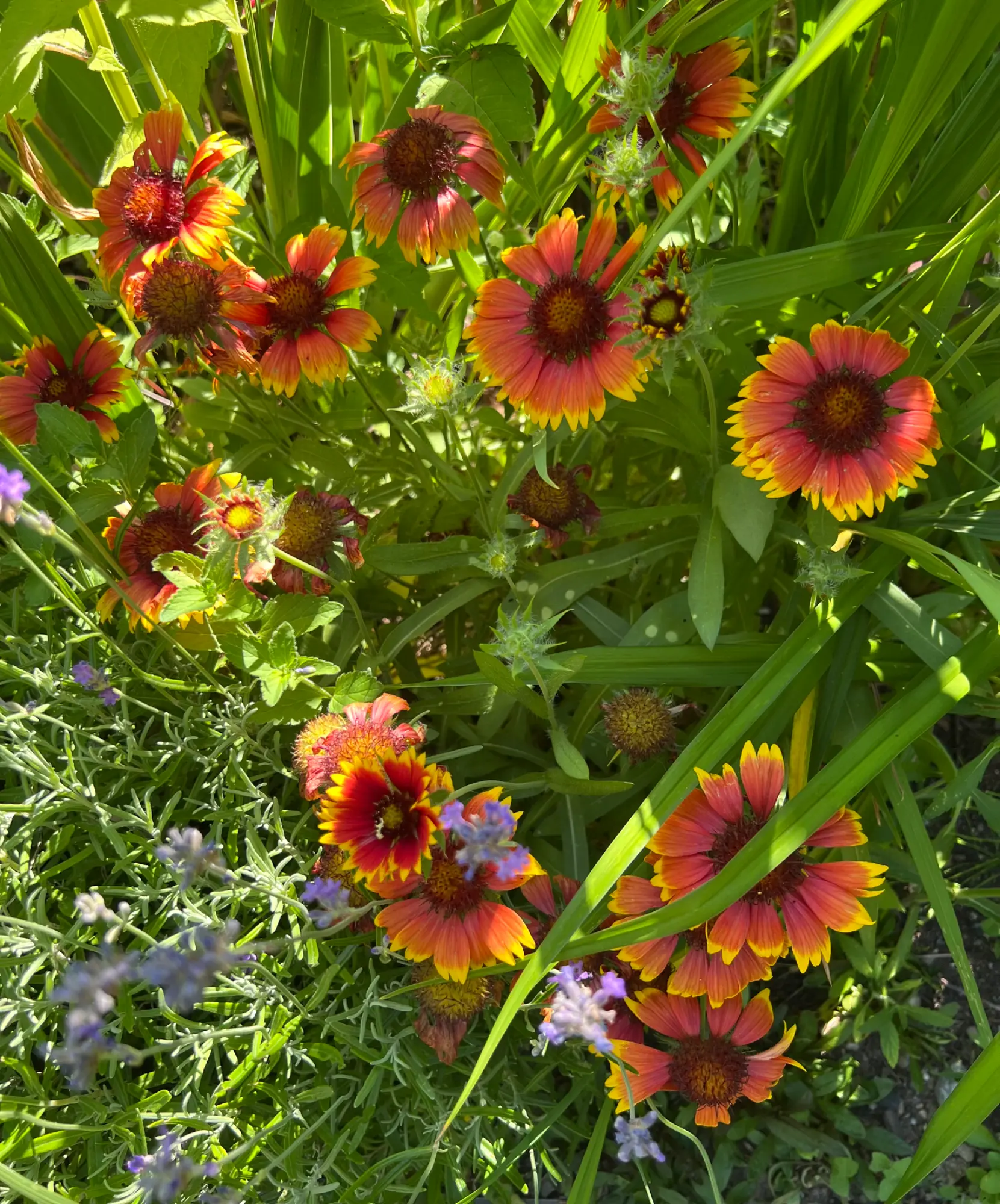 IMG_0856.webp