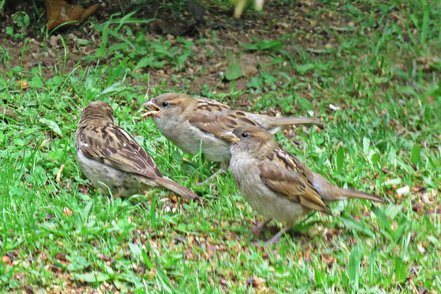 IMG_0858 v (2).webp