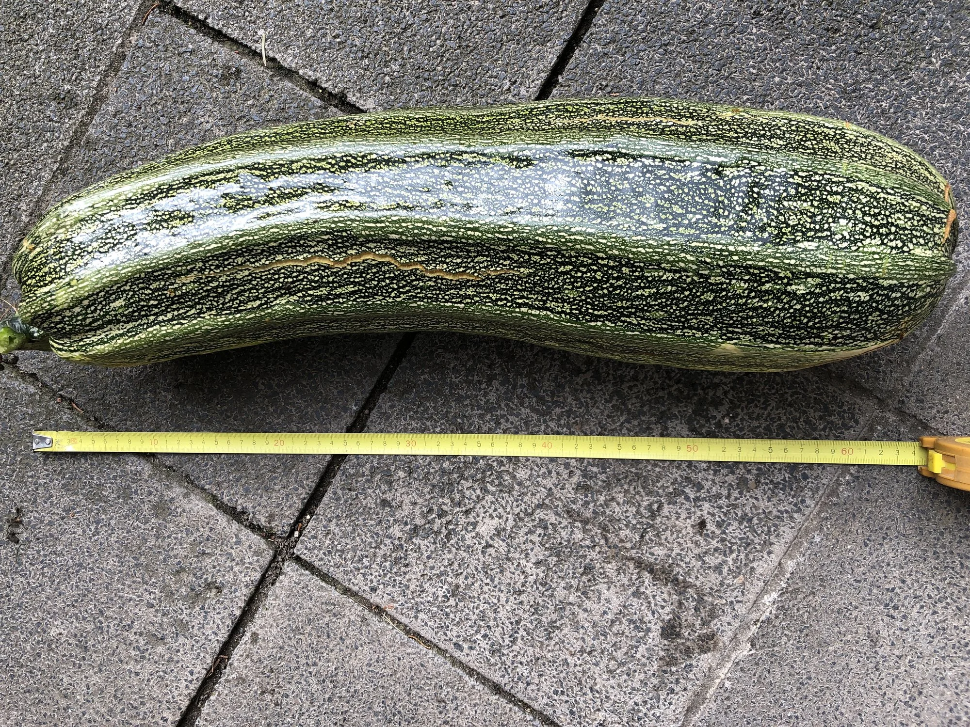 694462