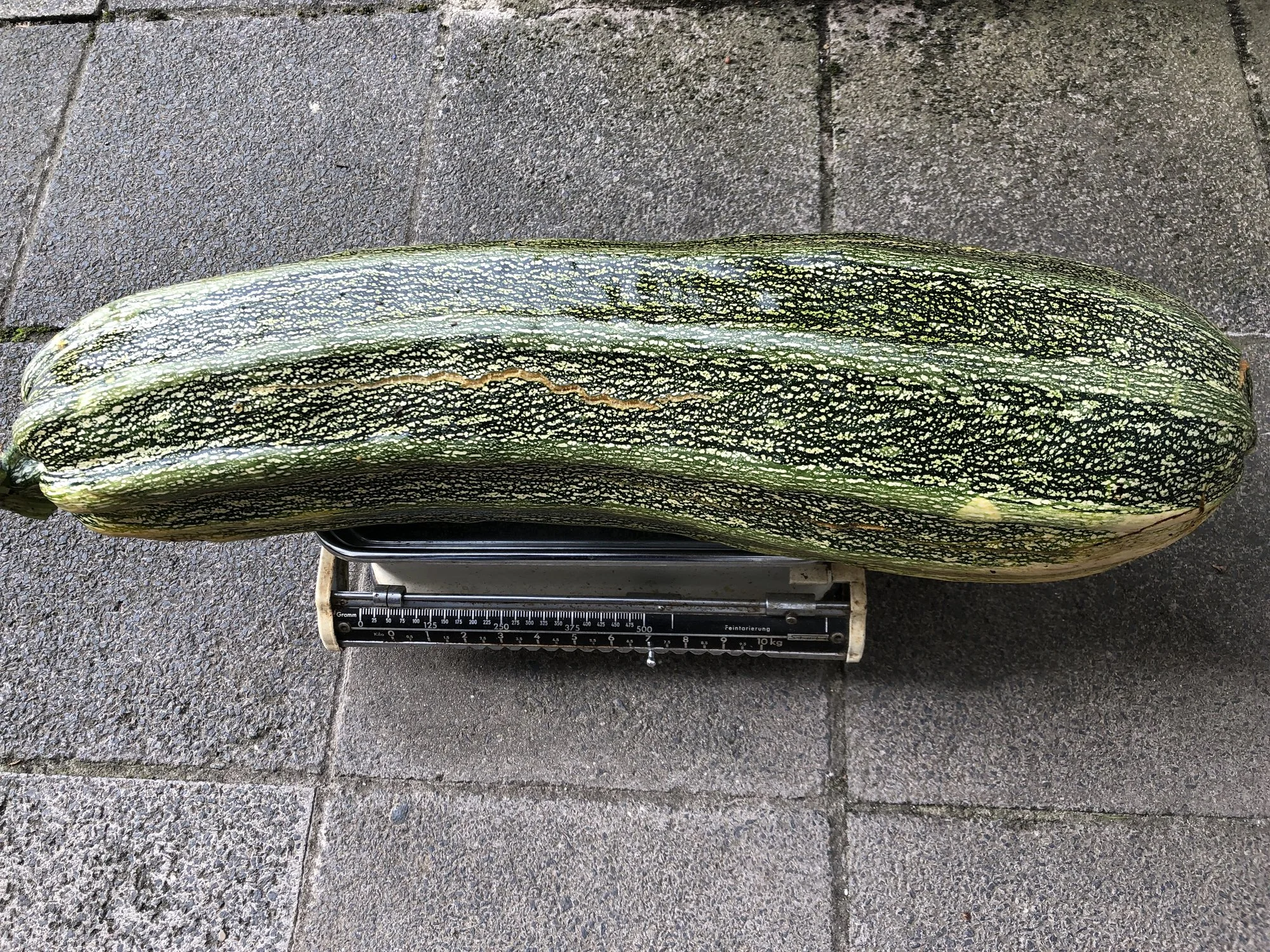 694463