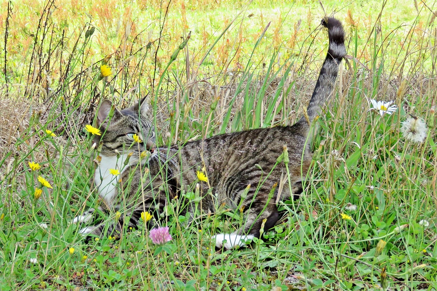 IMG_1087 v (2).webp