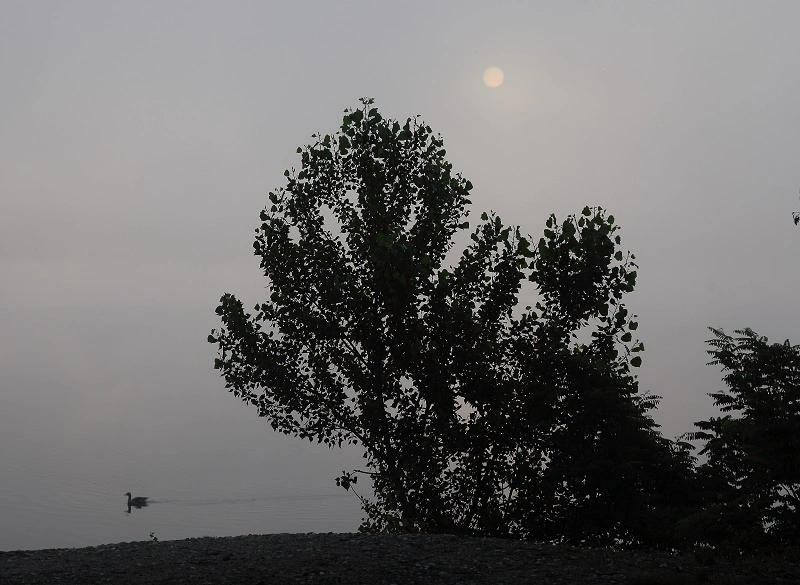 IMG_1091.webp