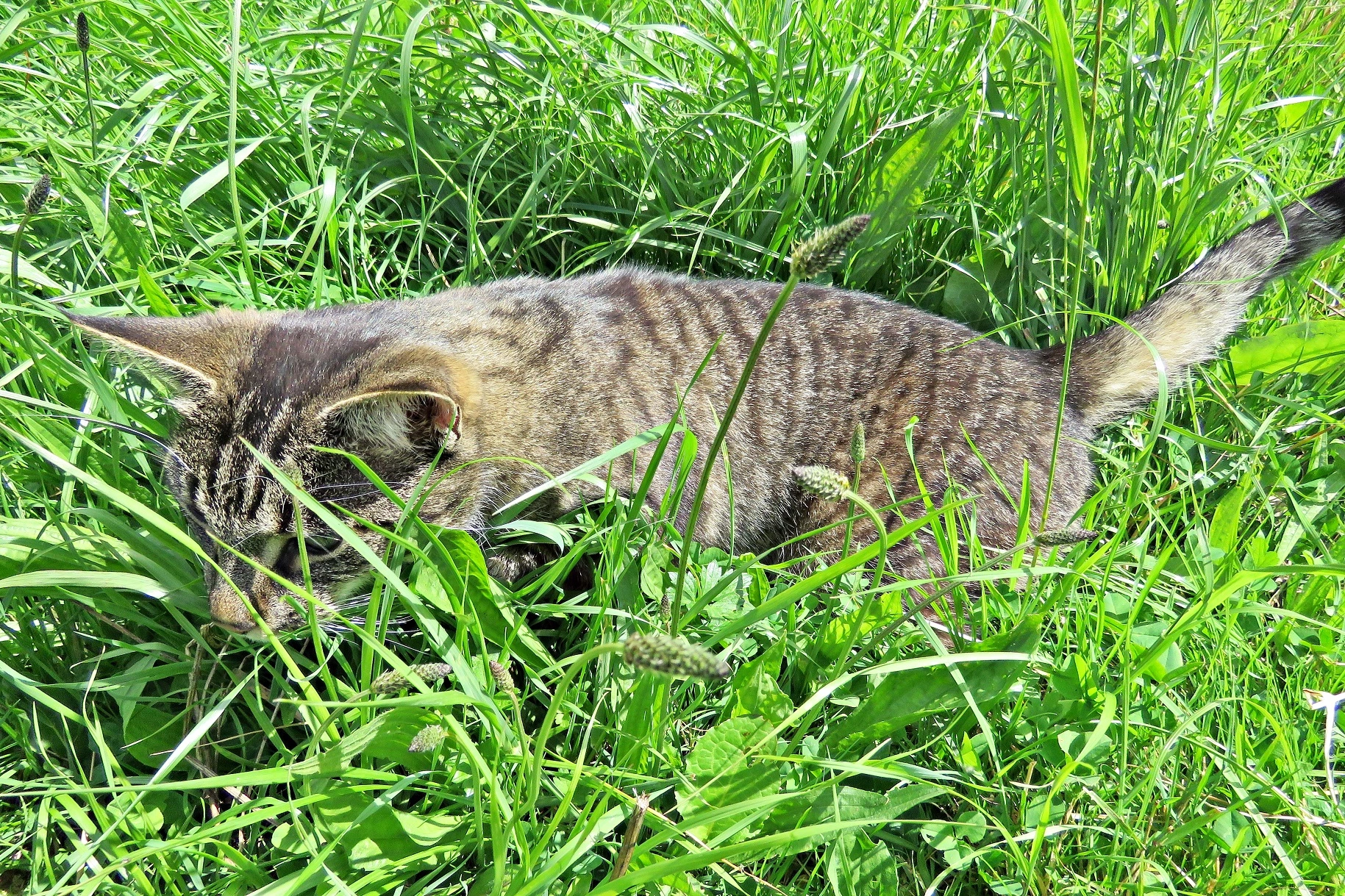 IMG_1095 v (2).webp