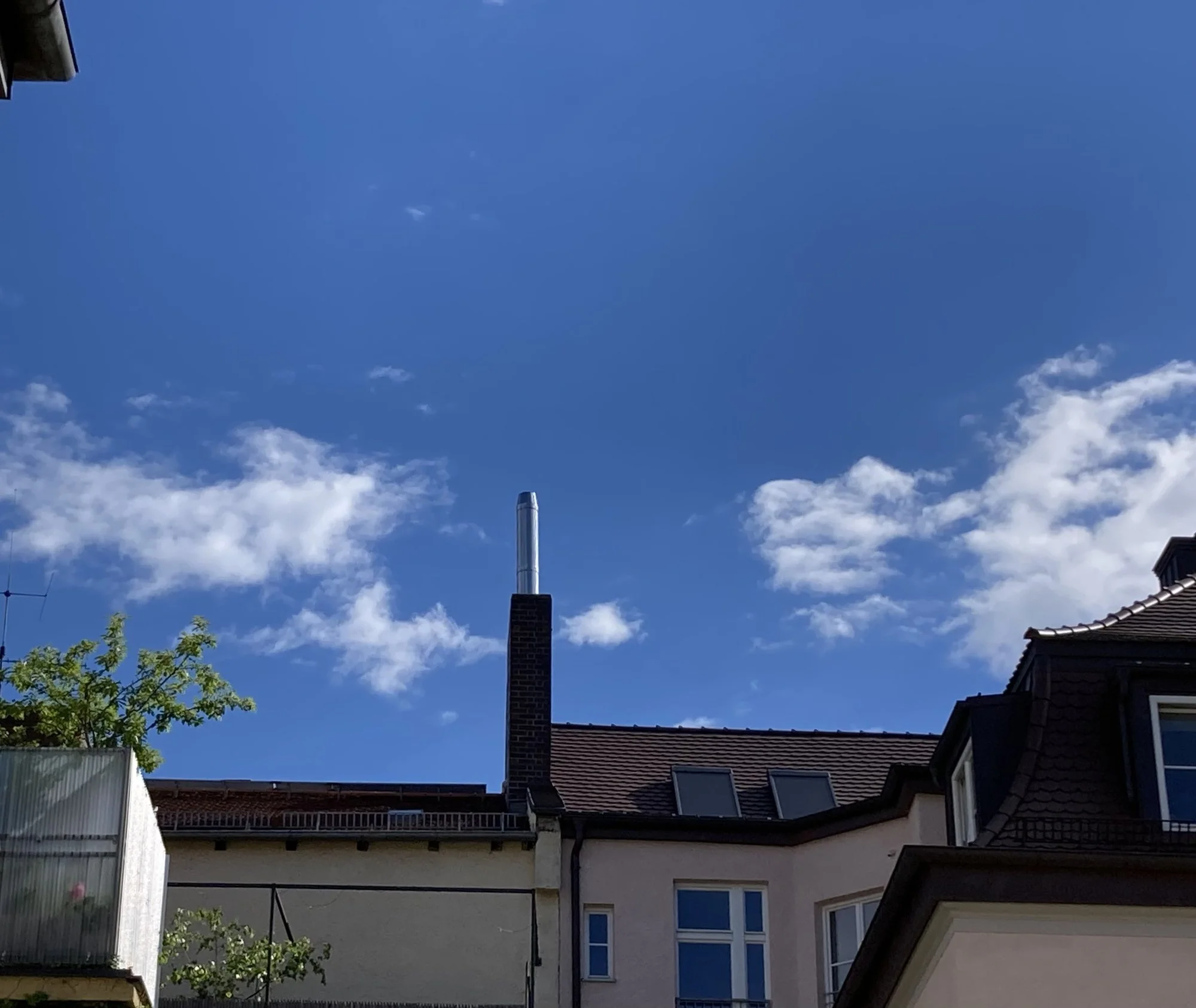 IMG_1107.jpeg