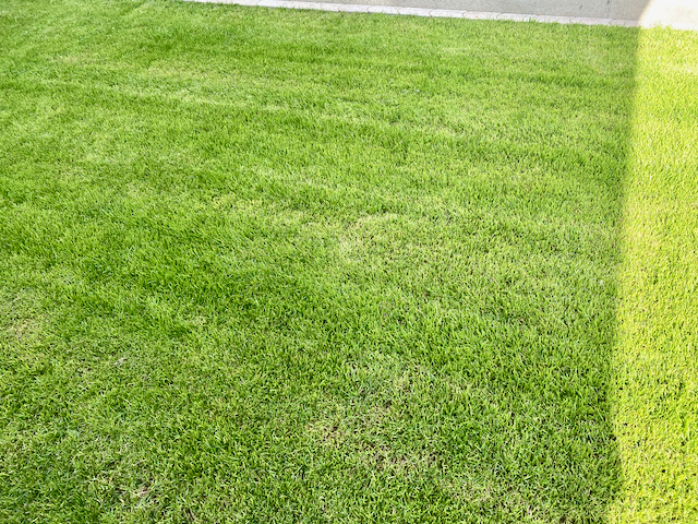 IMG_1128.webp