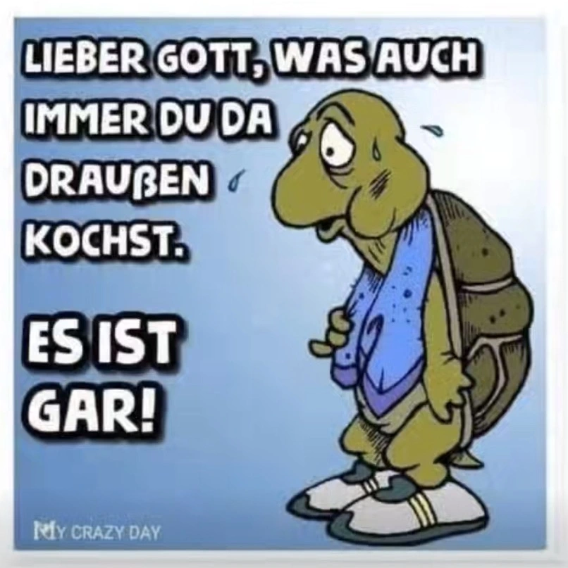 IMG_1132.webp