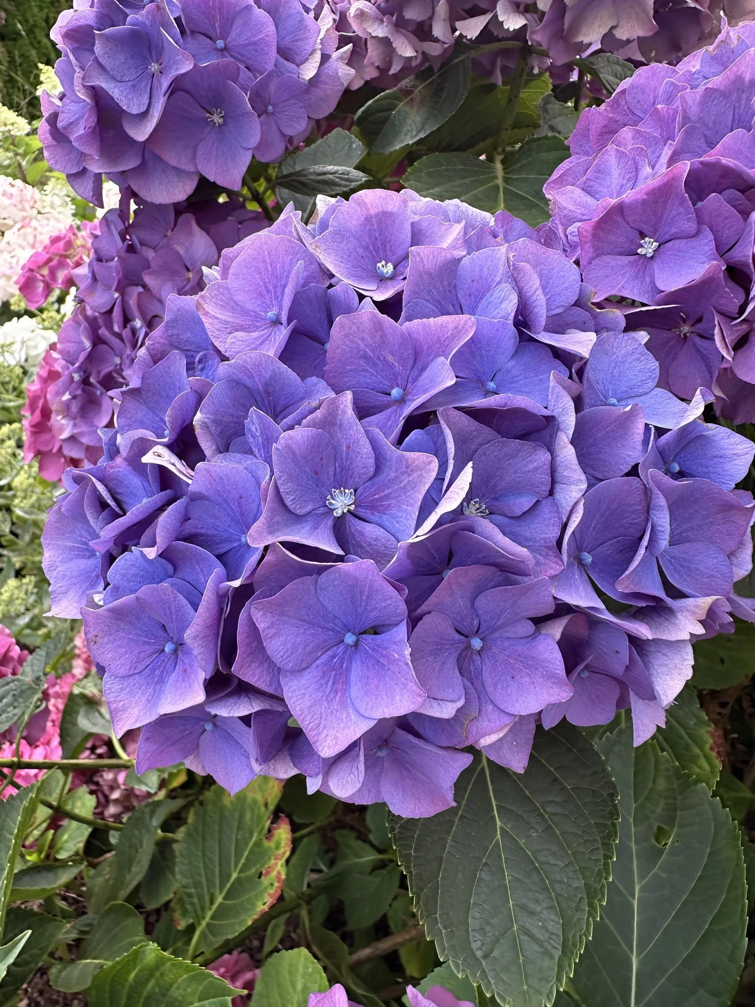 IMG_1212.webp