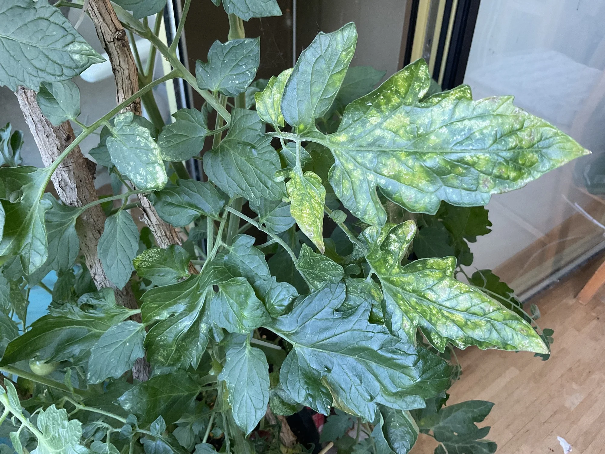 forum.hausgarten.net