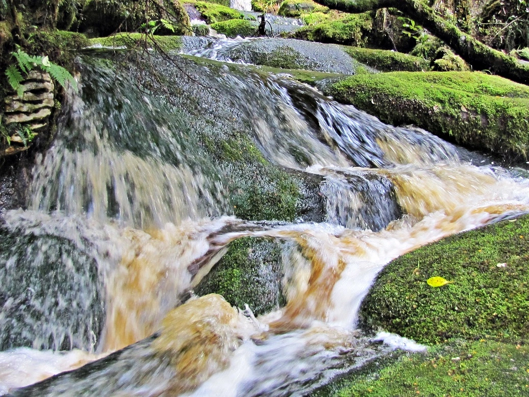 IMG_1602 Wasser 1v (2).webp