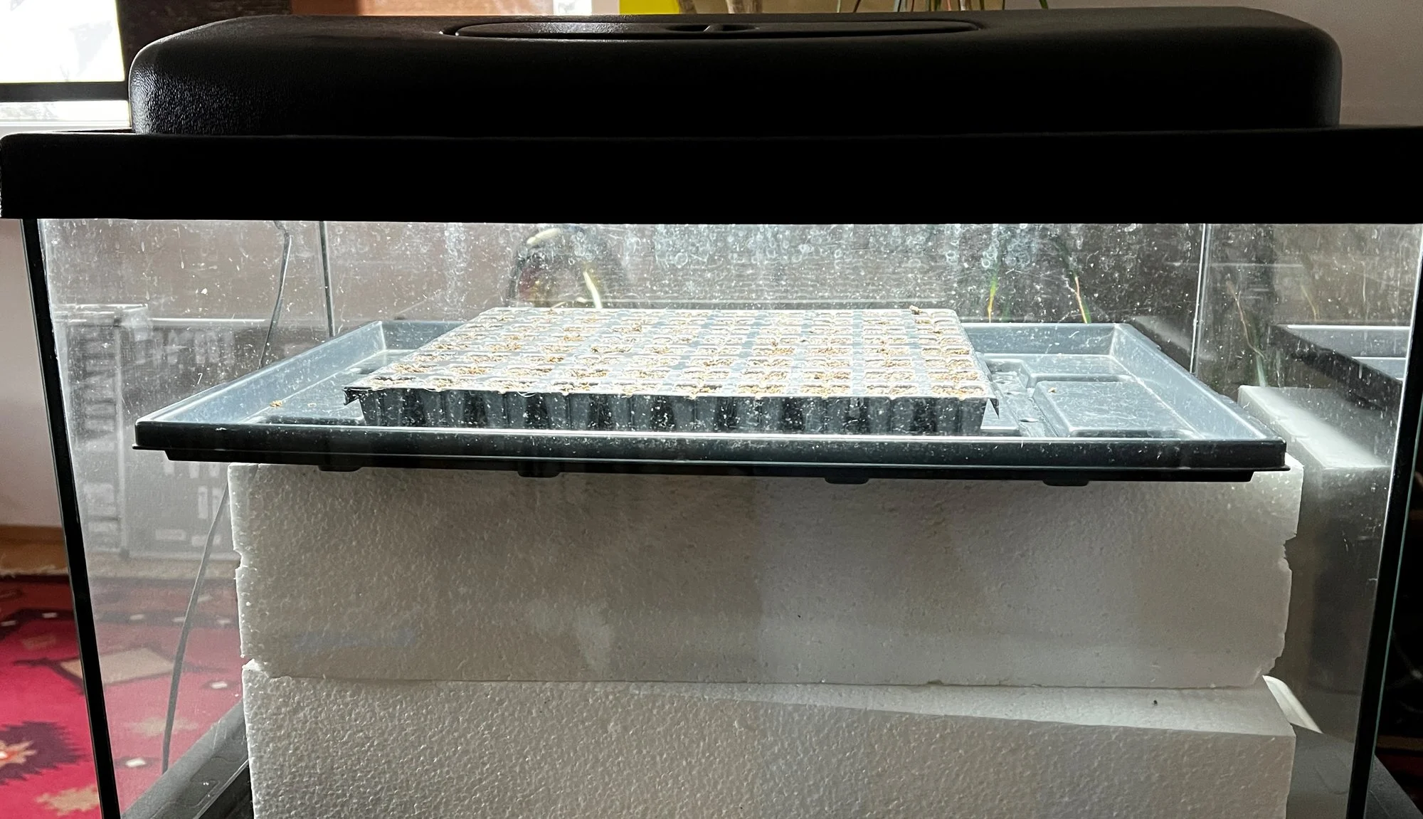 701329