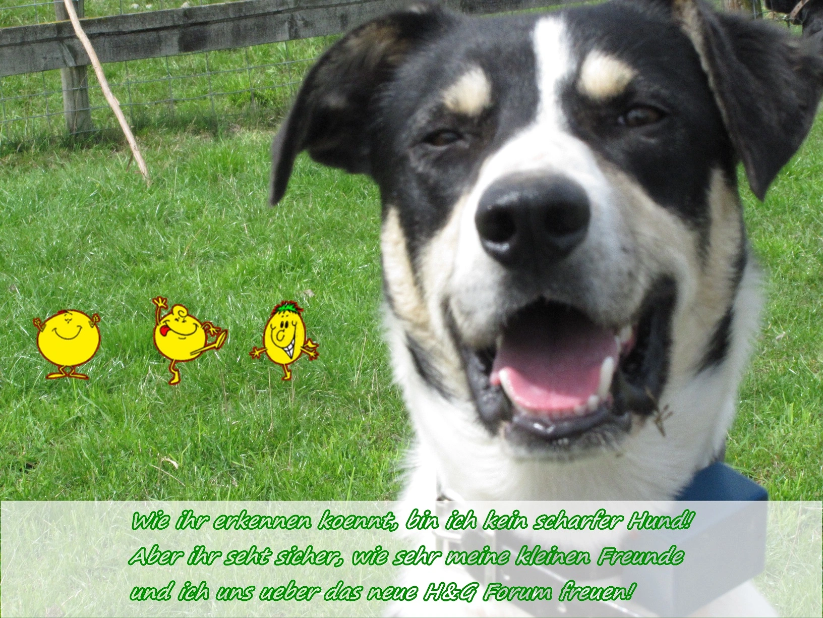 IMG_1631 - Copy - Copy.webp