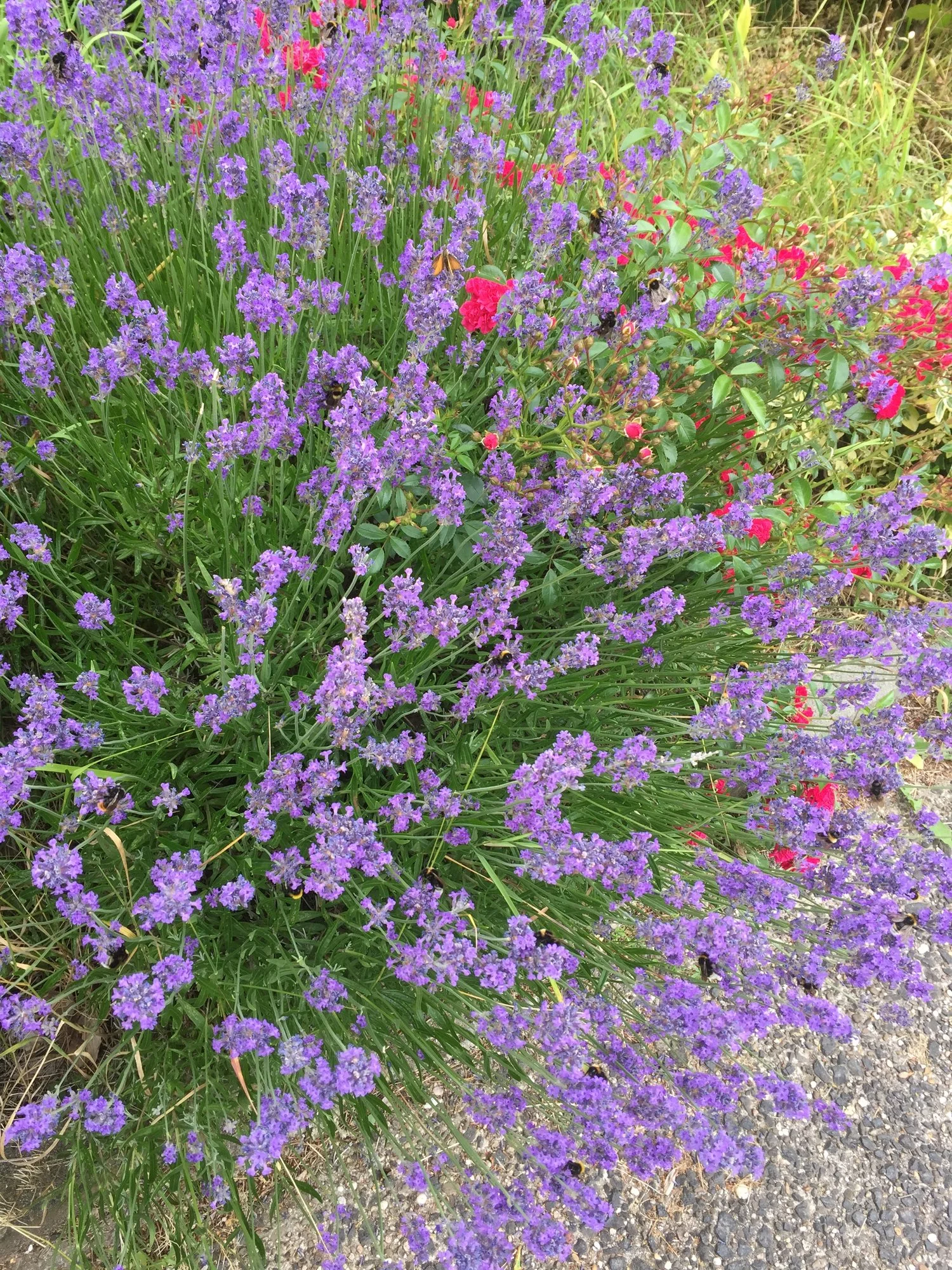 IMG_1640.webp