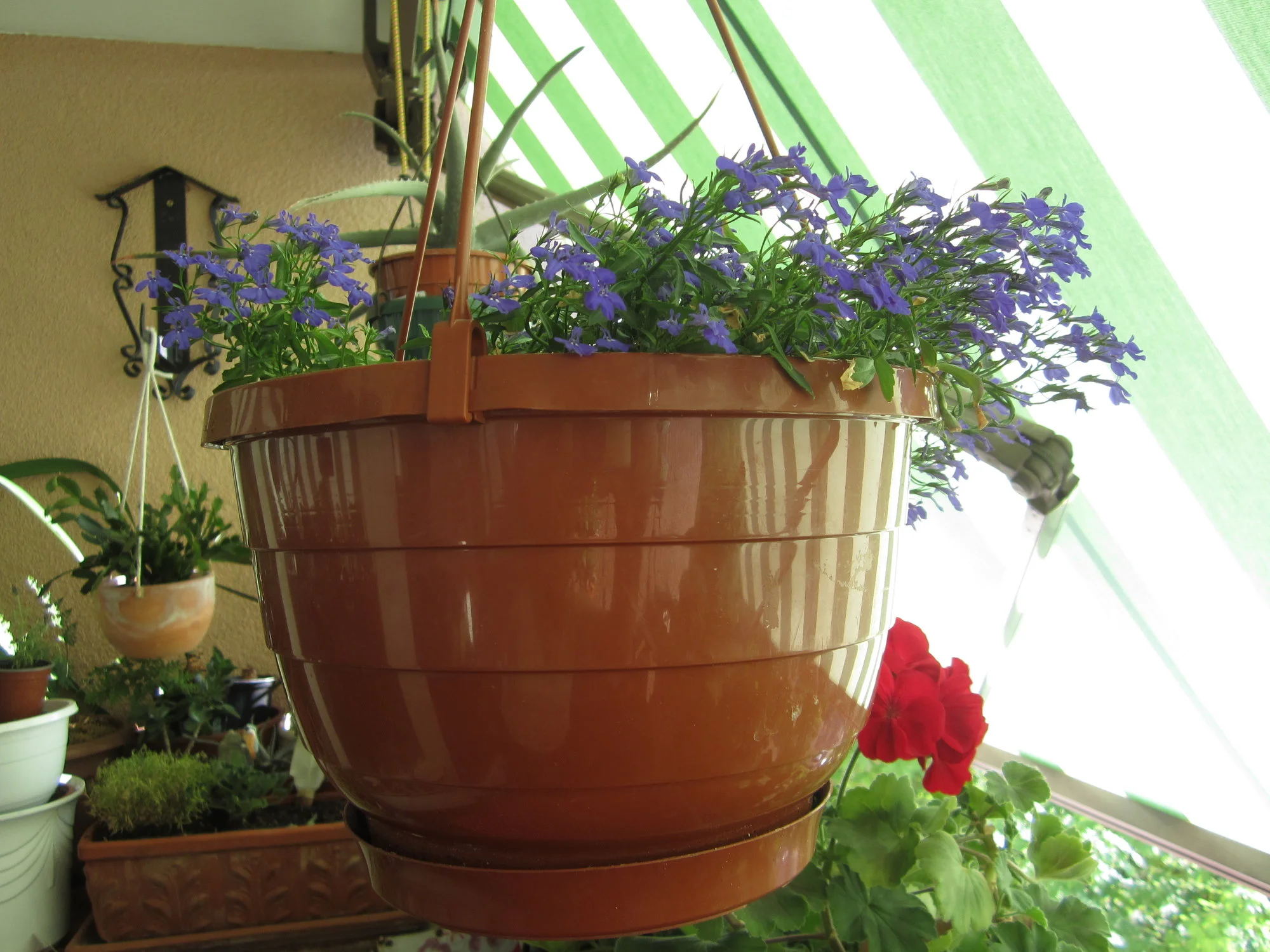 IMG_1696.webp