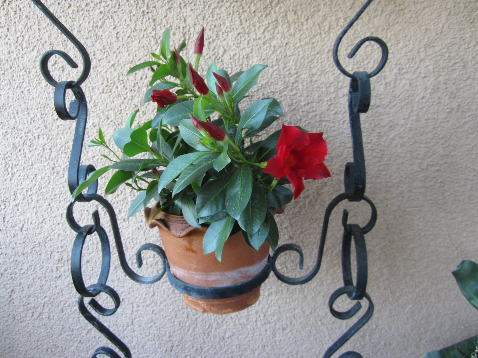 IMG_1710.webp