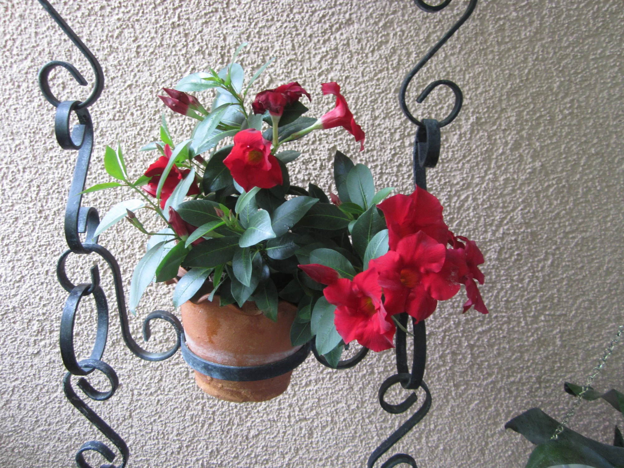 IMG_1719.webp