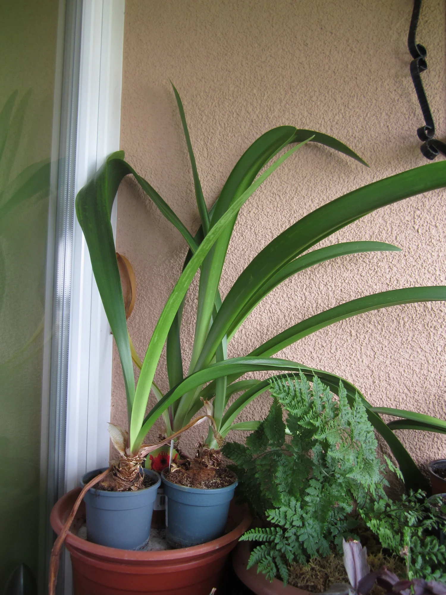 IMG_1727.webp