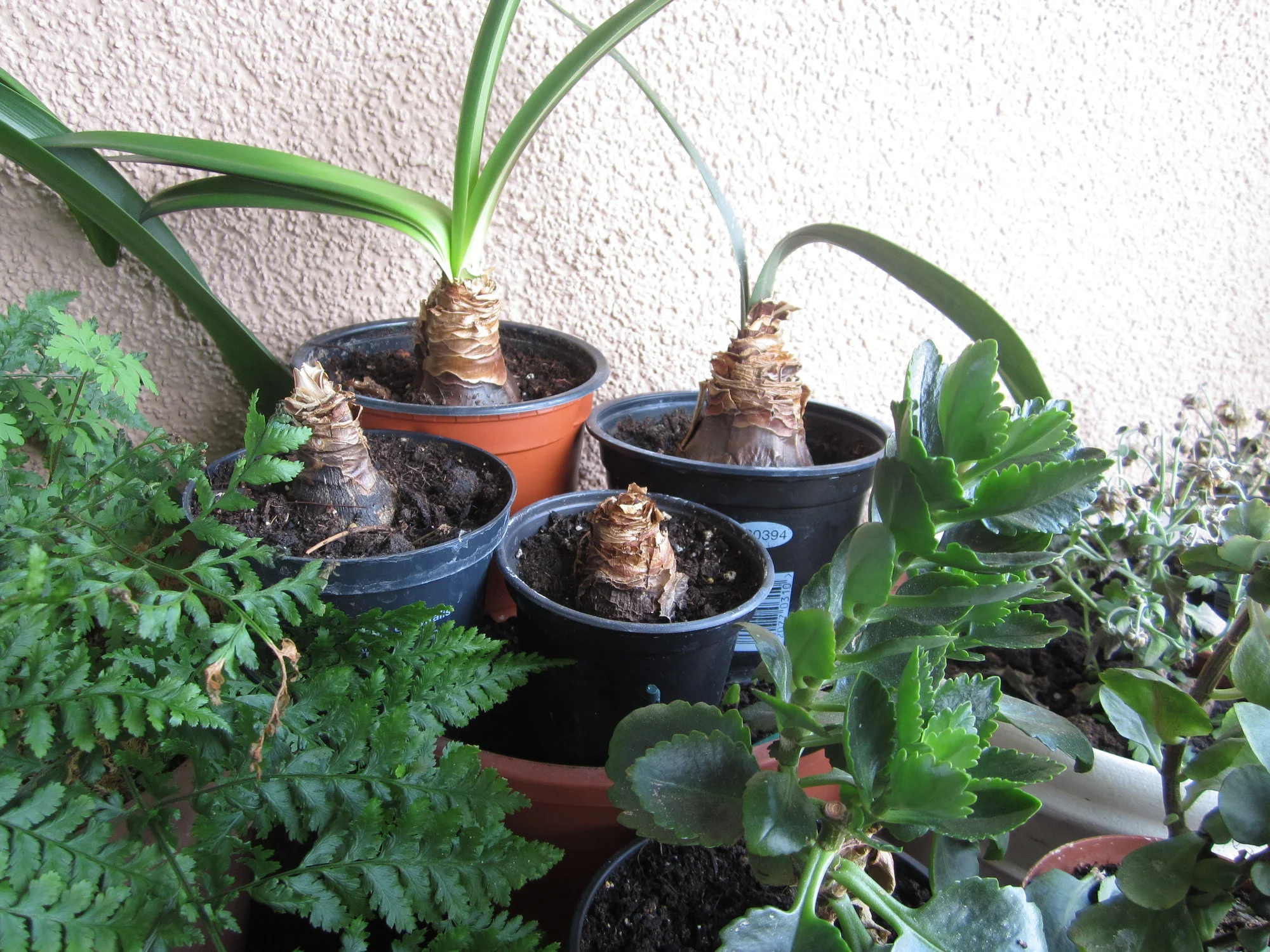 IMG_1728.webp