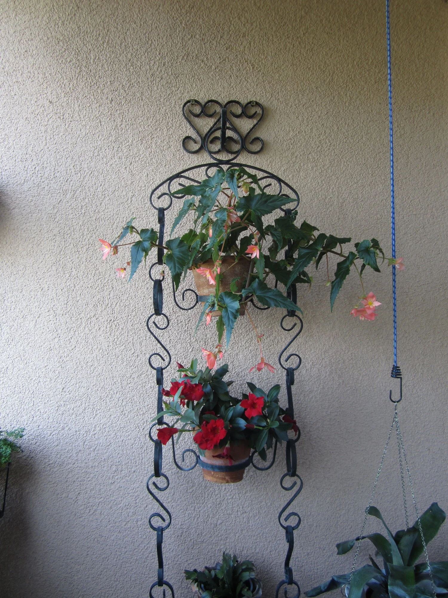 IMG_1750.webp