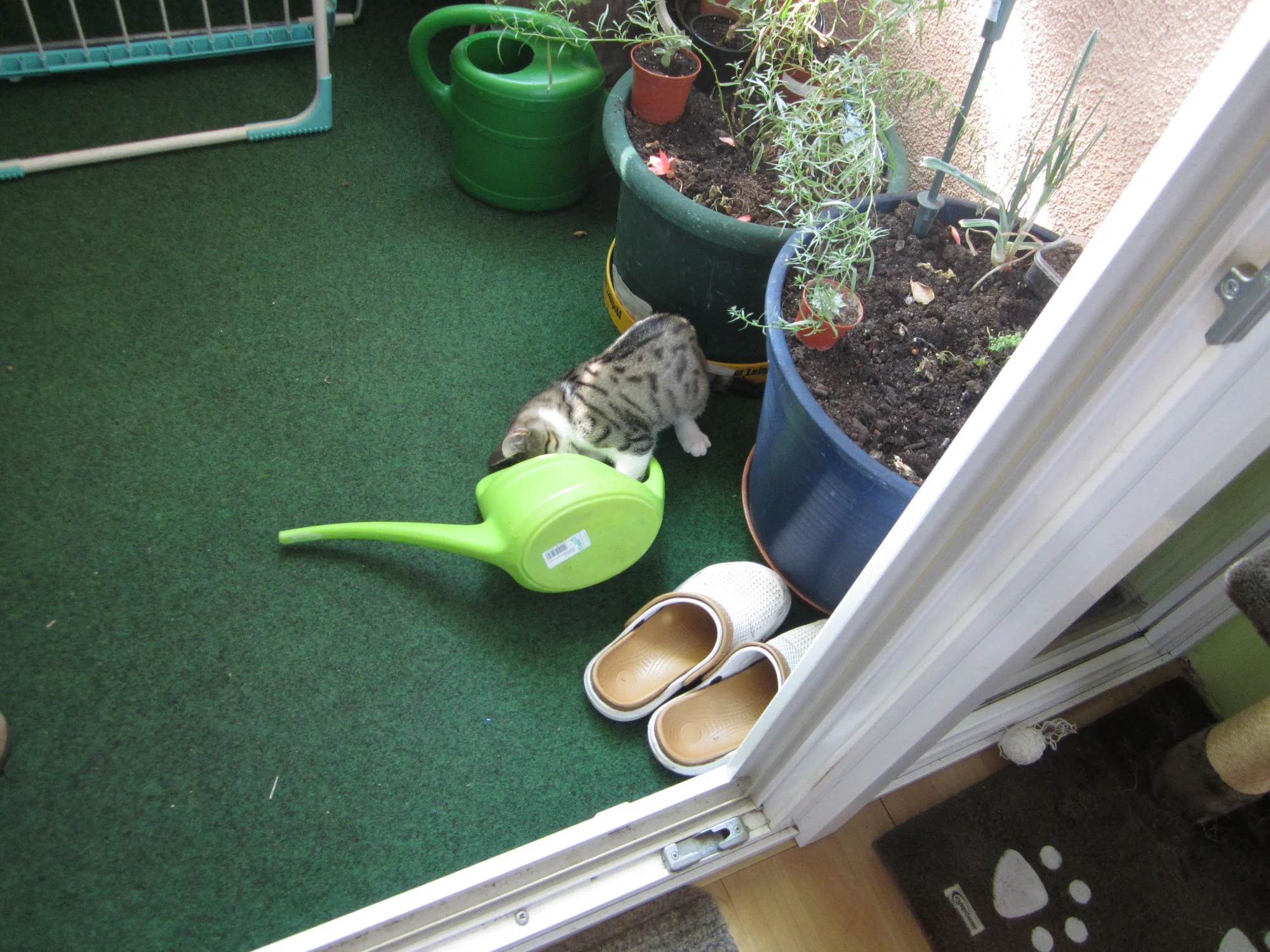 IMG_1763.webp