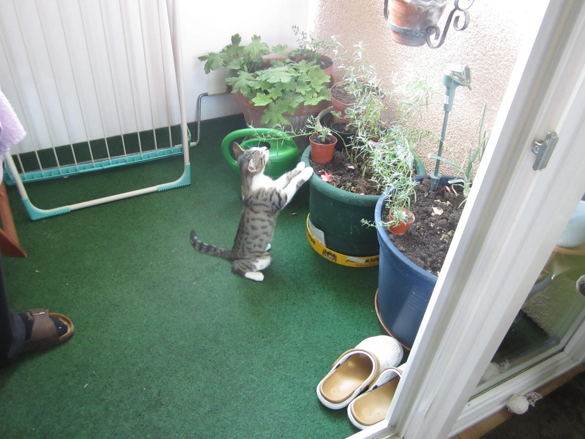 IMG_1765.webp
