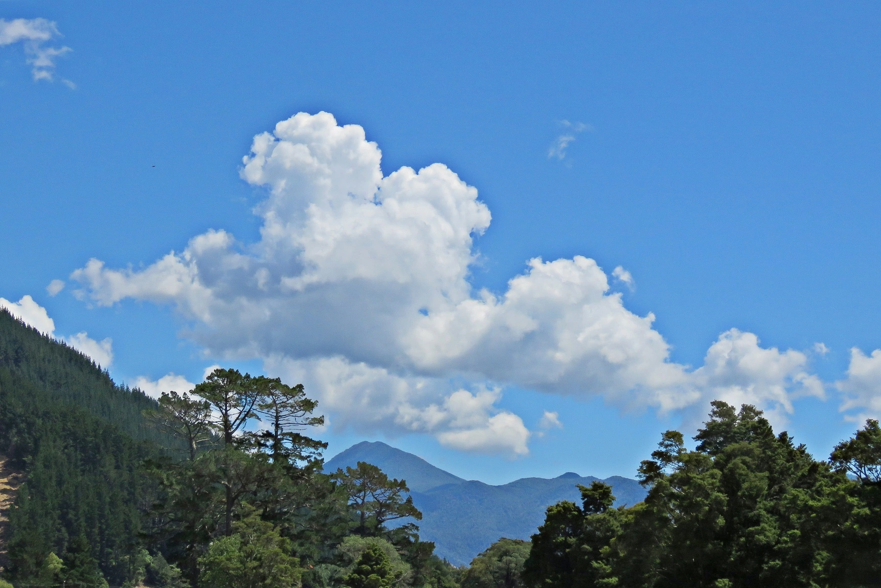 IMG_1933 - Copy.JPG