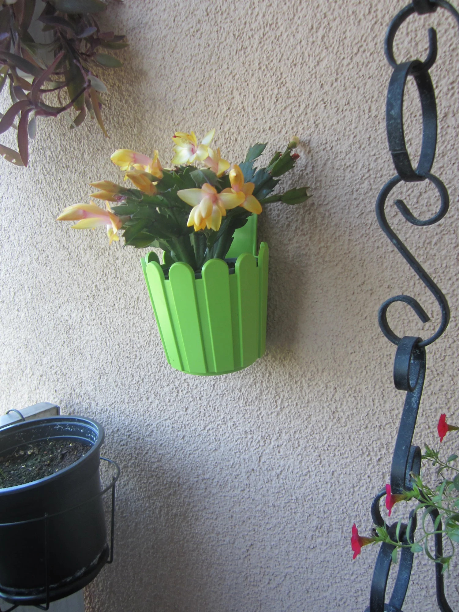 IMG_1989.webp
