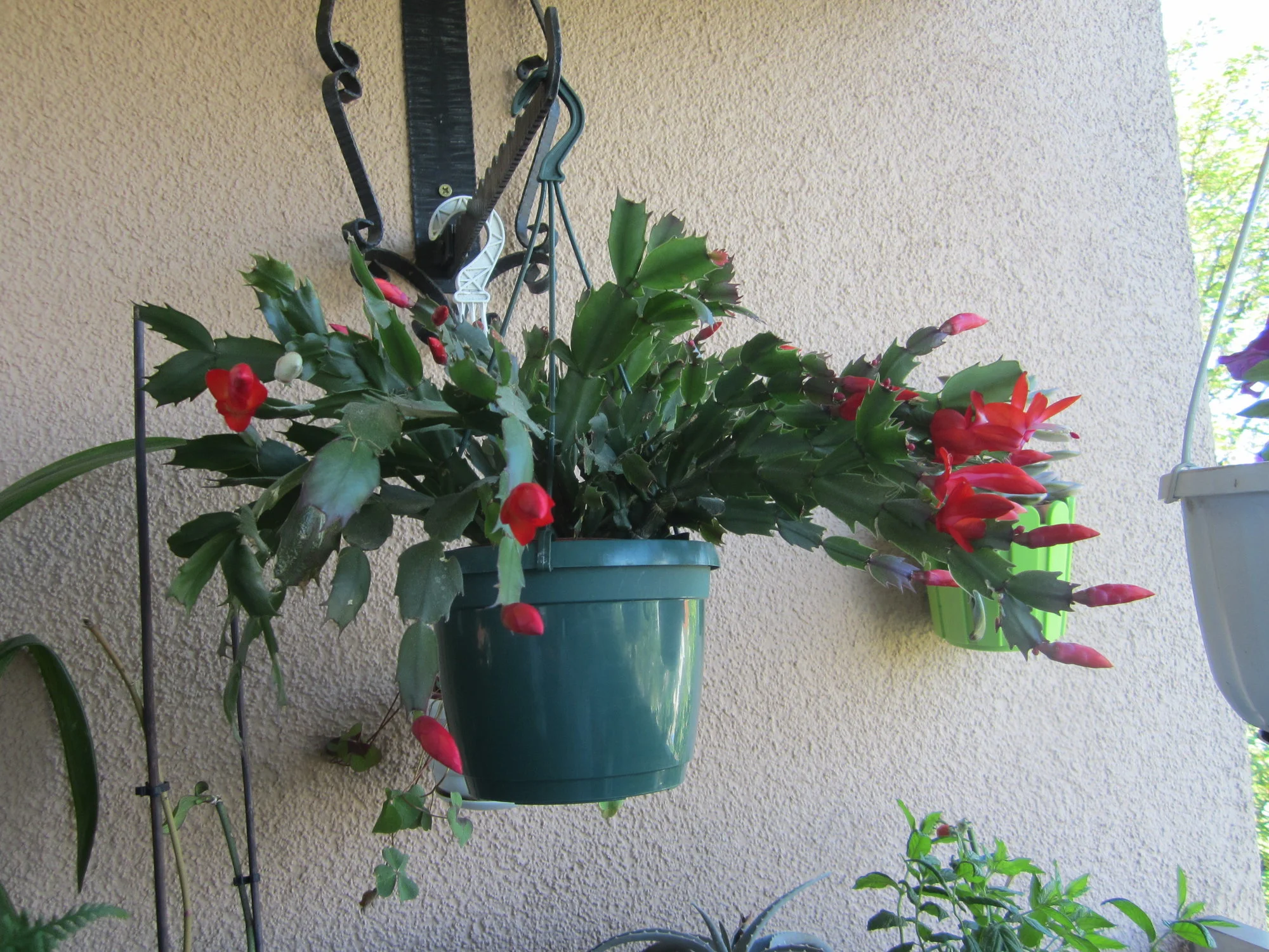 IMG_1990.webp