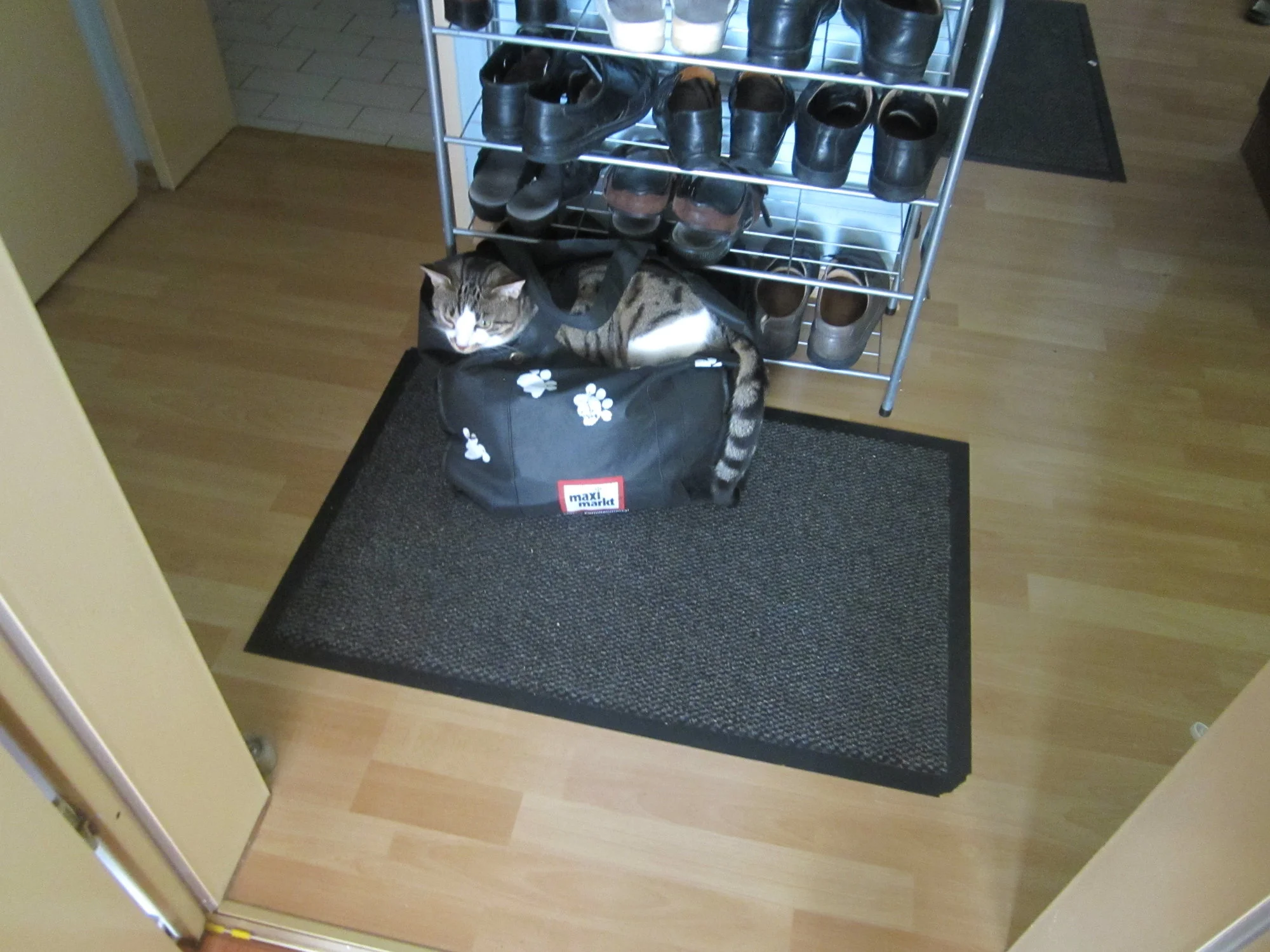 IMG_2004.webp