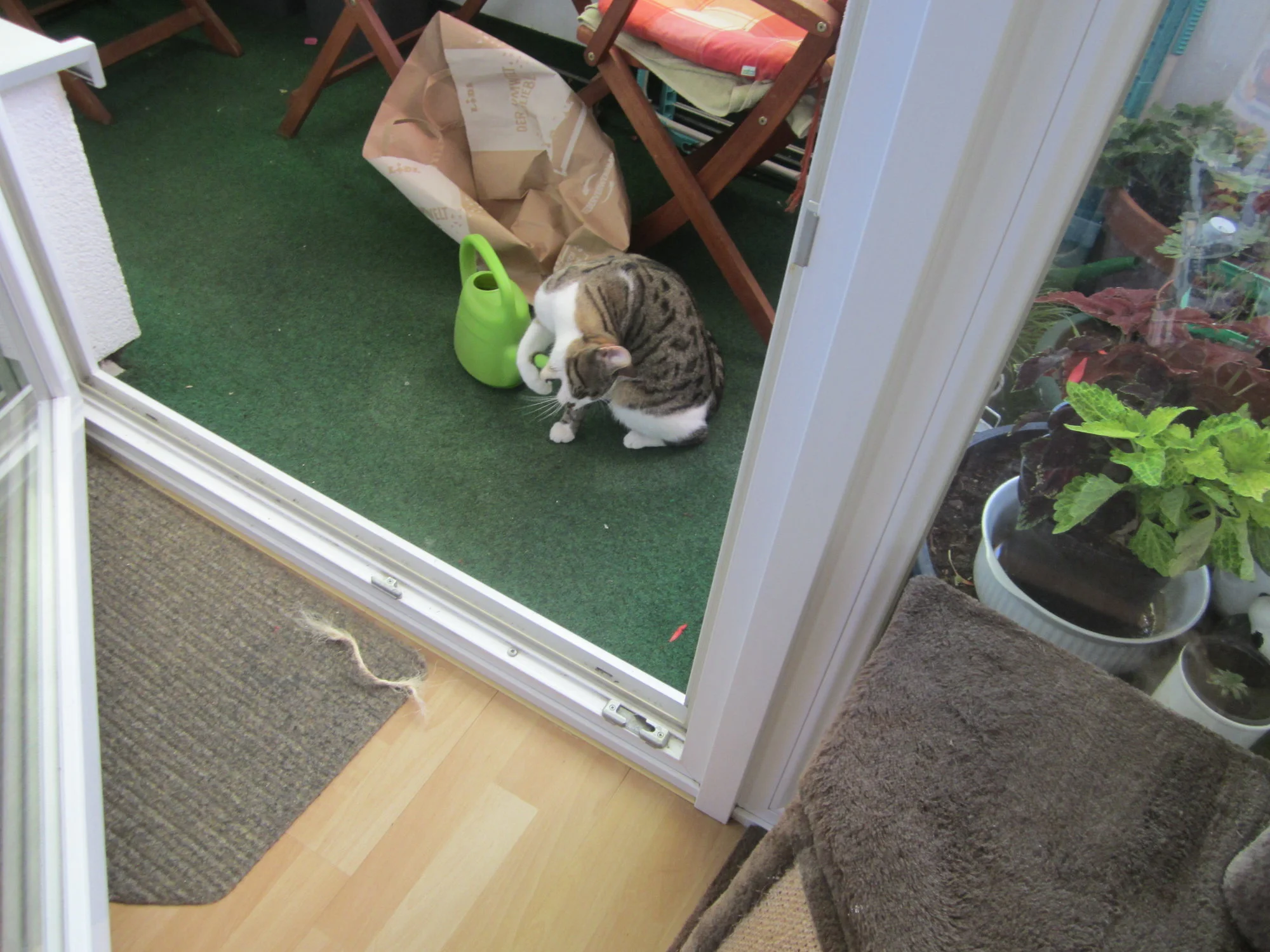 IMG_2008.webp
