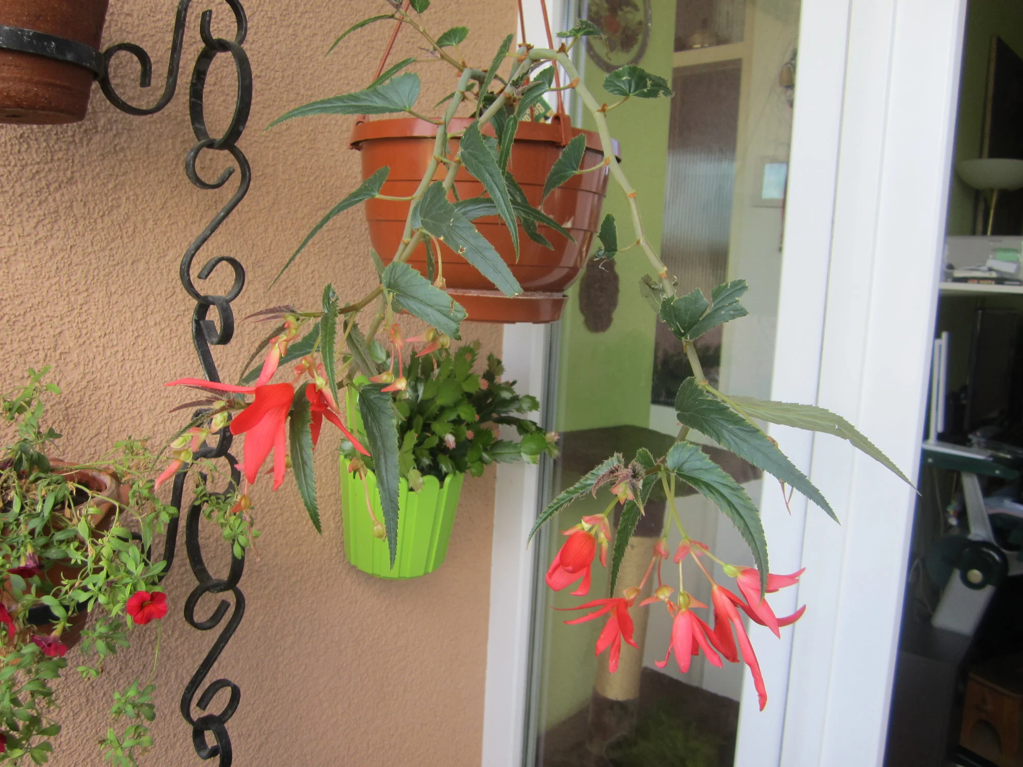 IMG_2014.webp
