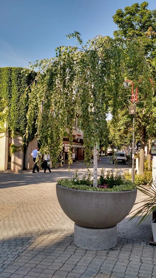 IMG_20170717_174903465_HDR.webp