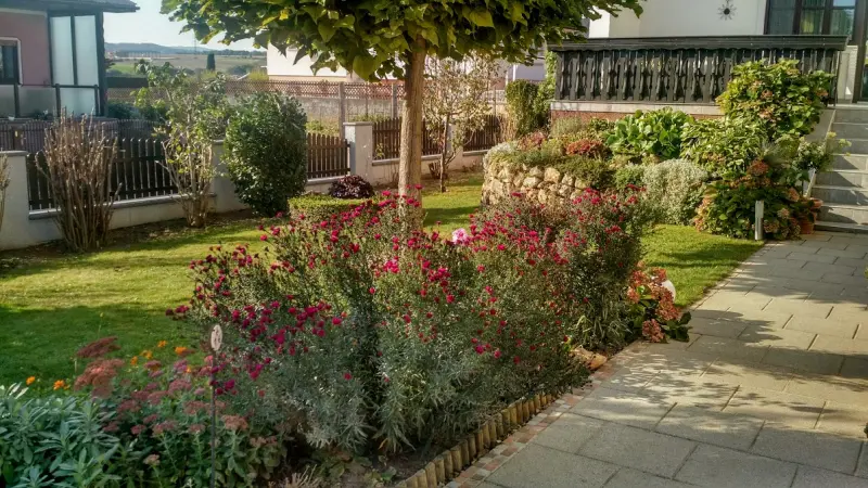 IMG_20181001_092629712_HDR.webp