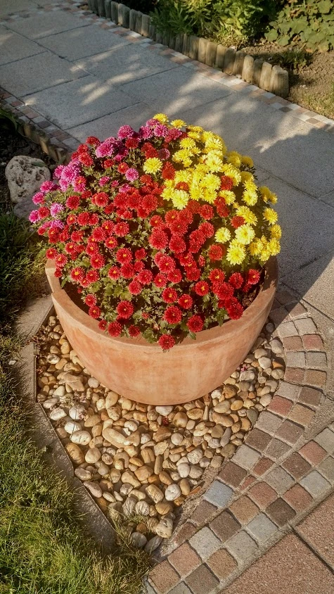 IMG_20181001_092942400_HDR.webp