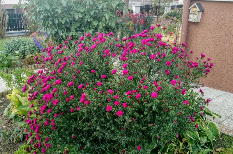 IMG_20181002_124321291.webp