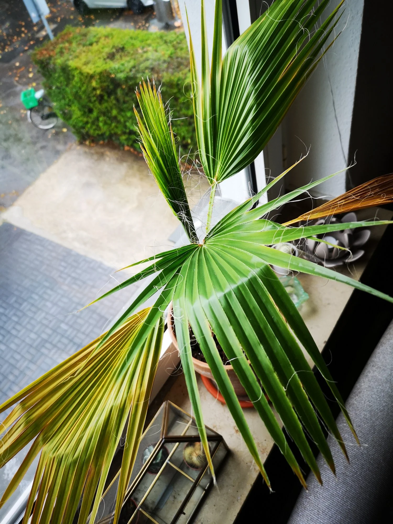 IMG_20181002_125147.webp
