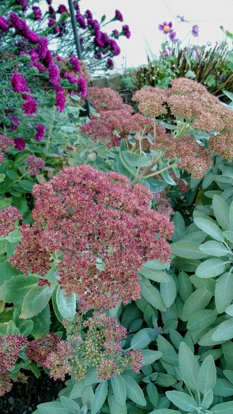IMG_20181013_173626903.webp