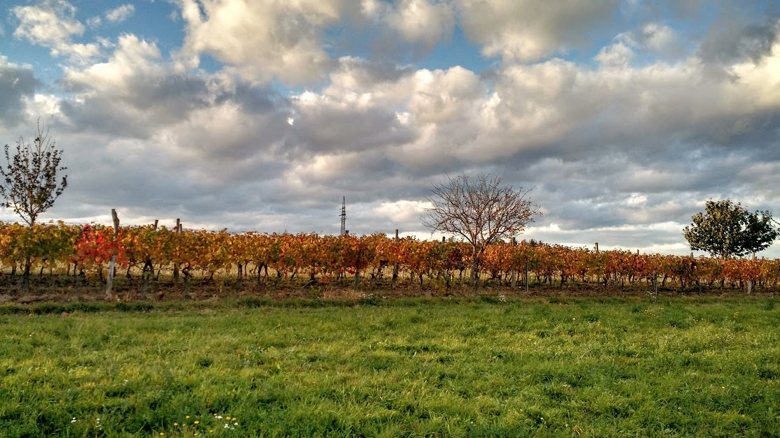 IMG_20181025_165645734_HDR.webp
