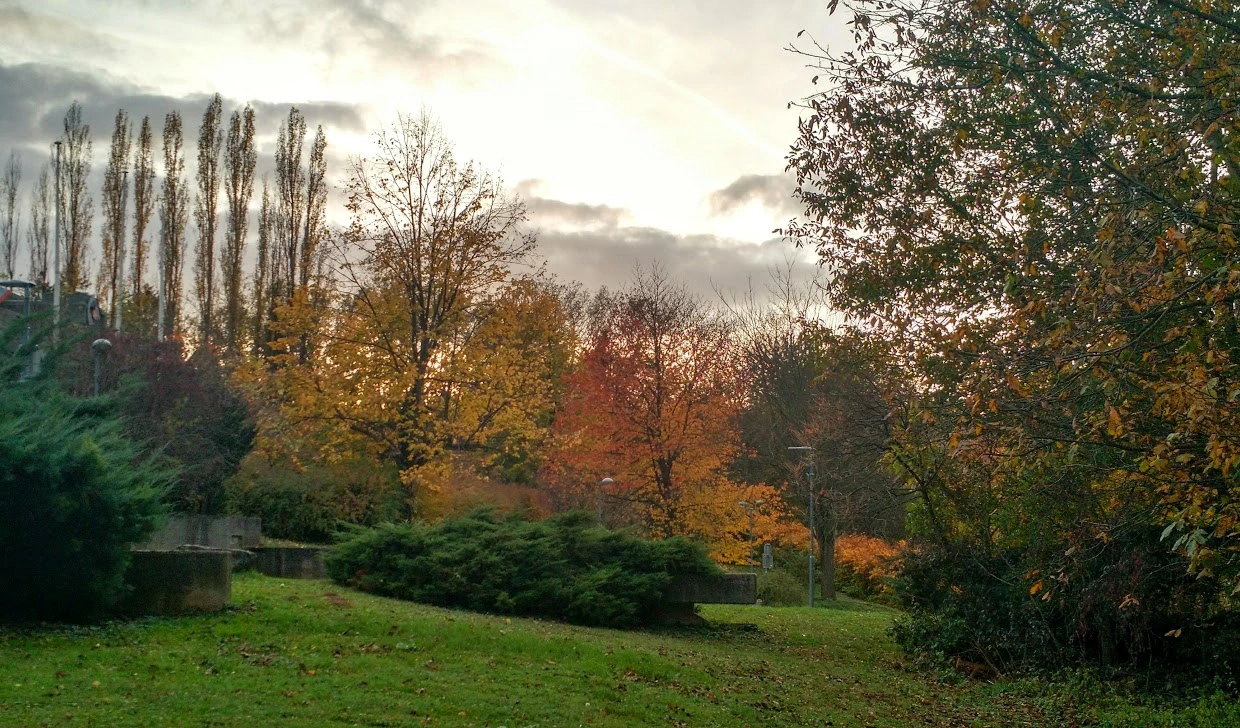 IMG_20181101_160800764_HDR.webp