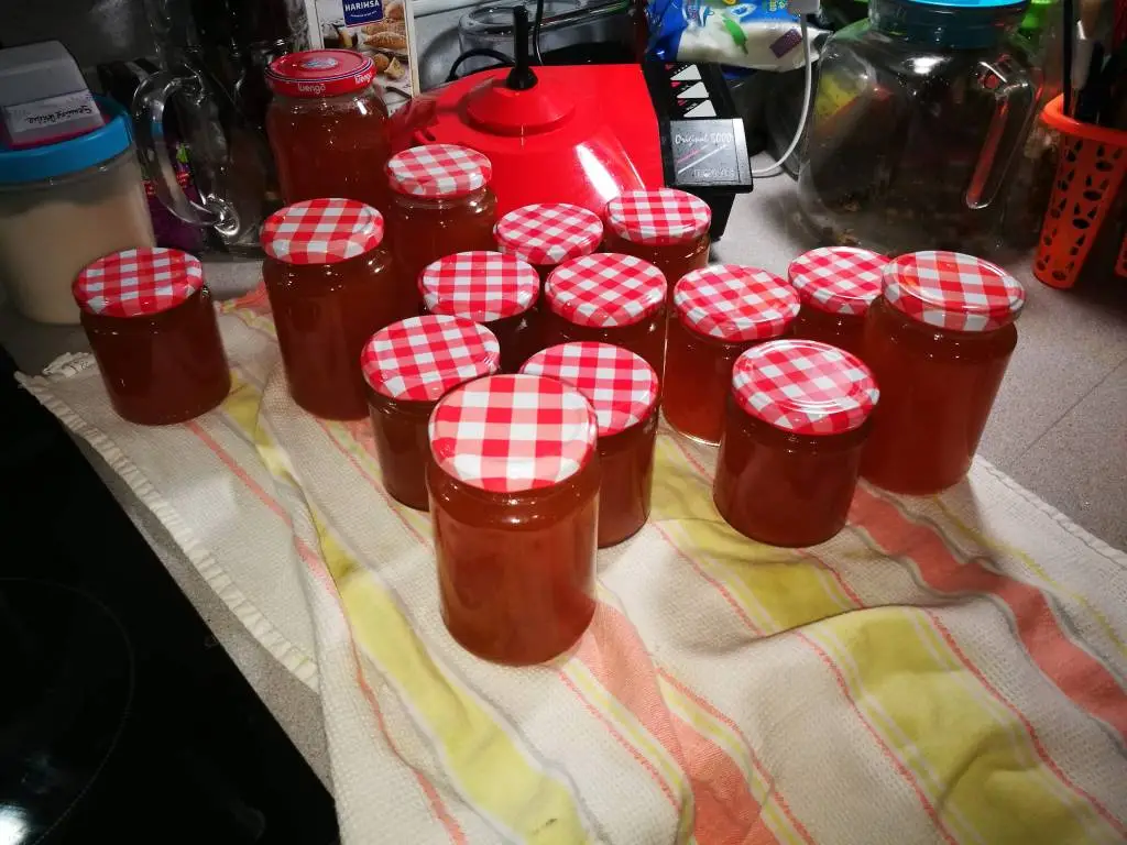 IMG_20190130_004928 Marmelade.webp