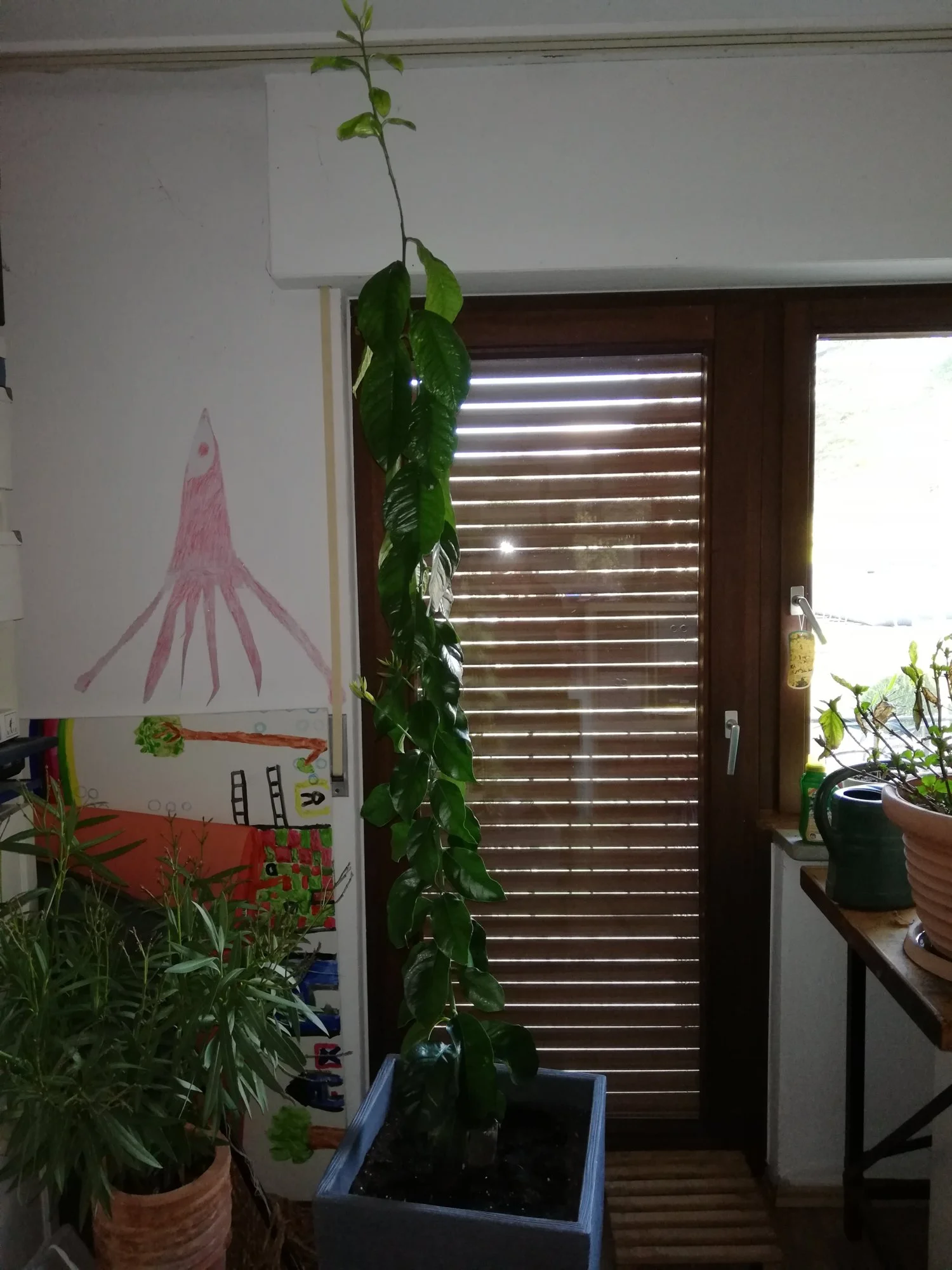 IMG_20190318_170809.webp