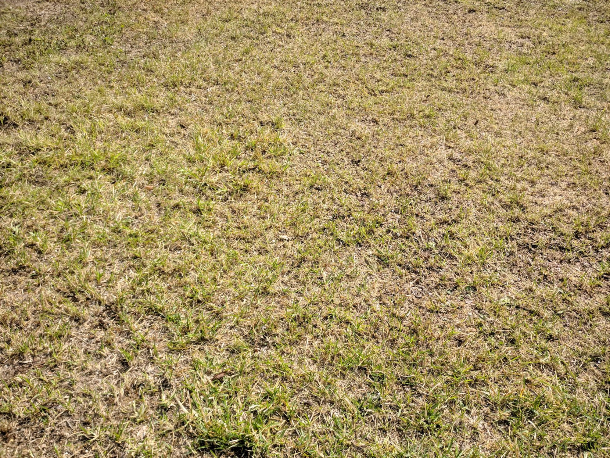 IMG_20190324_120629.webp