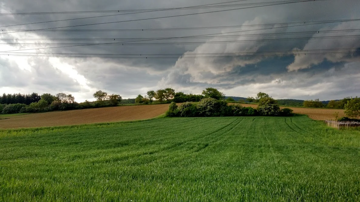 IMG_20190511_153659619_HDR.webp