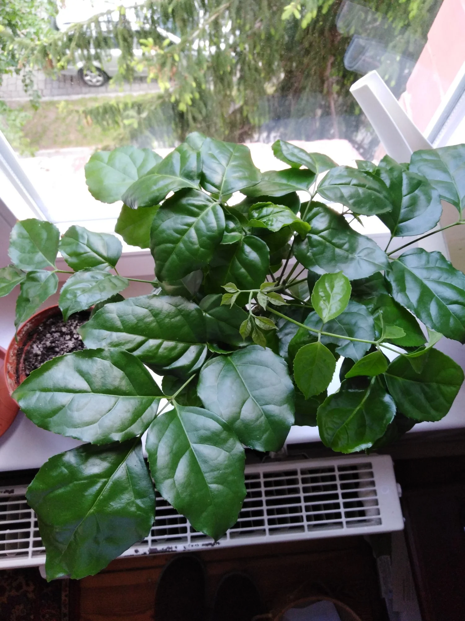 IMG_20190519_193000.webp