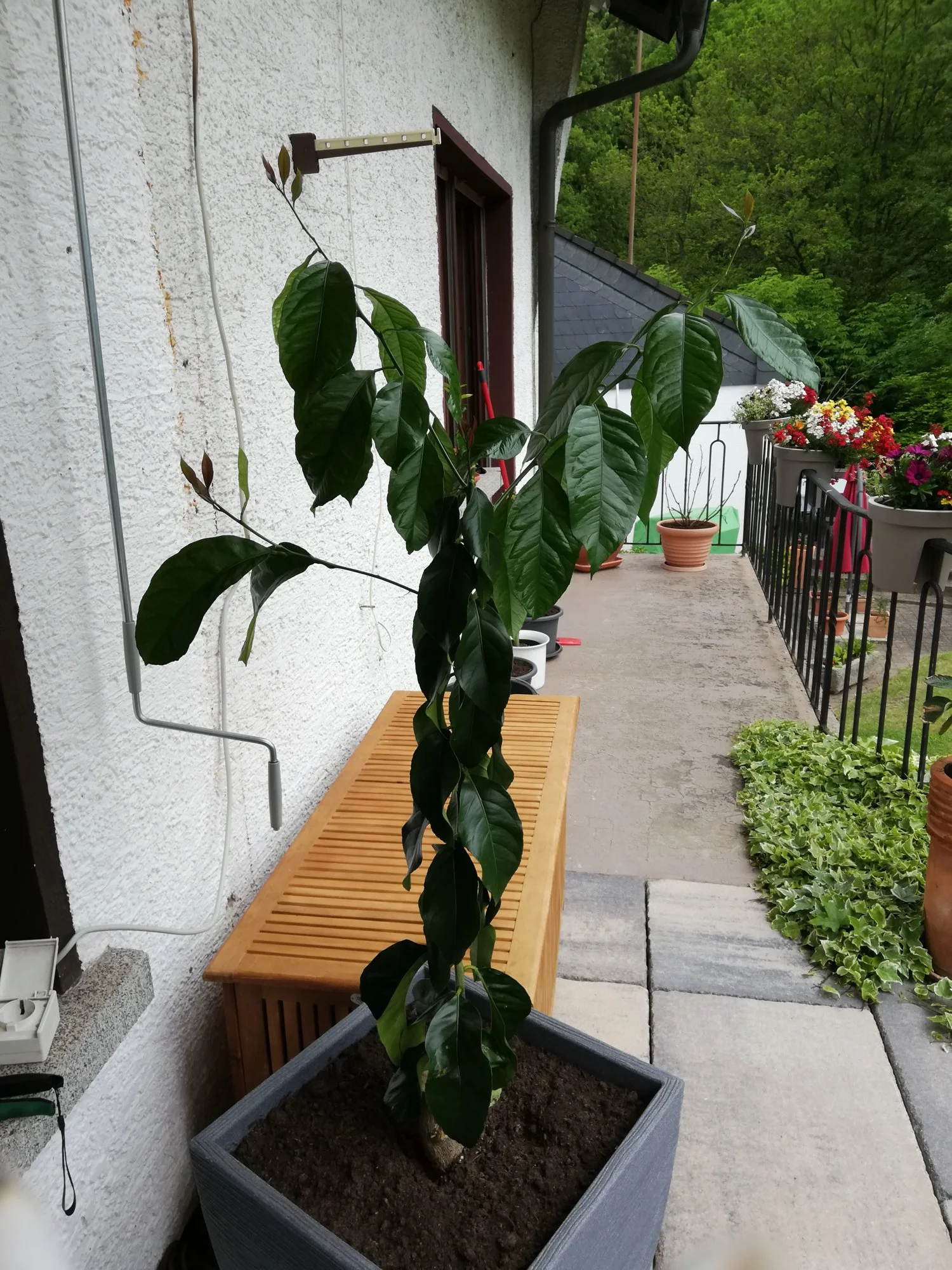 IMG_20190530_134158.webp