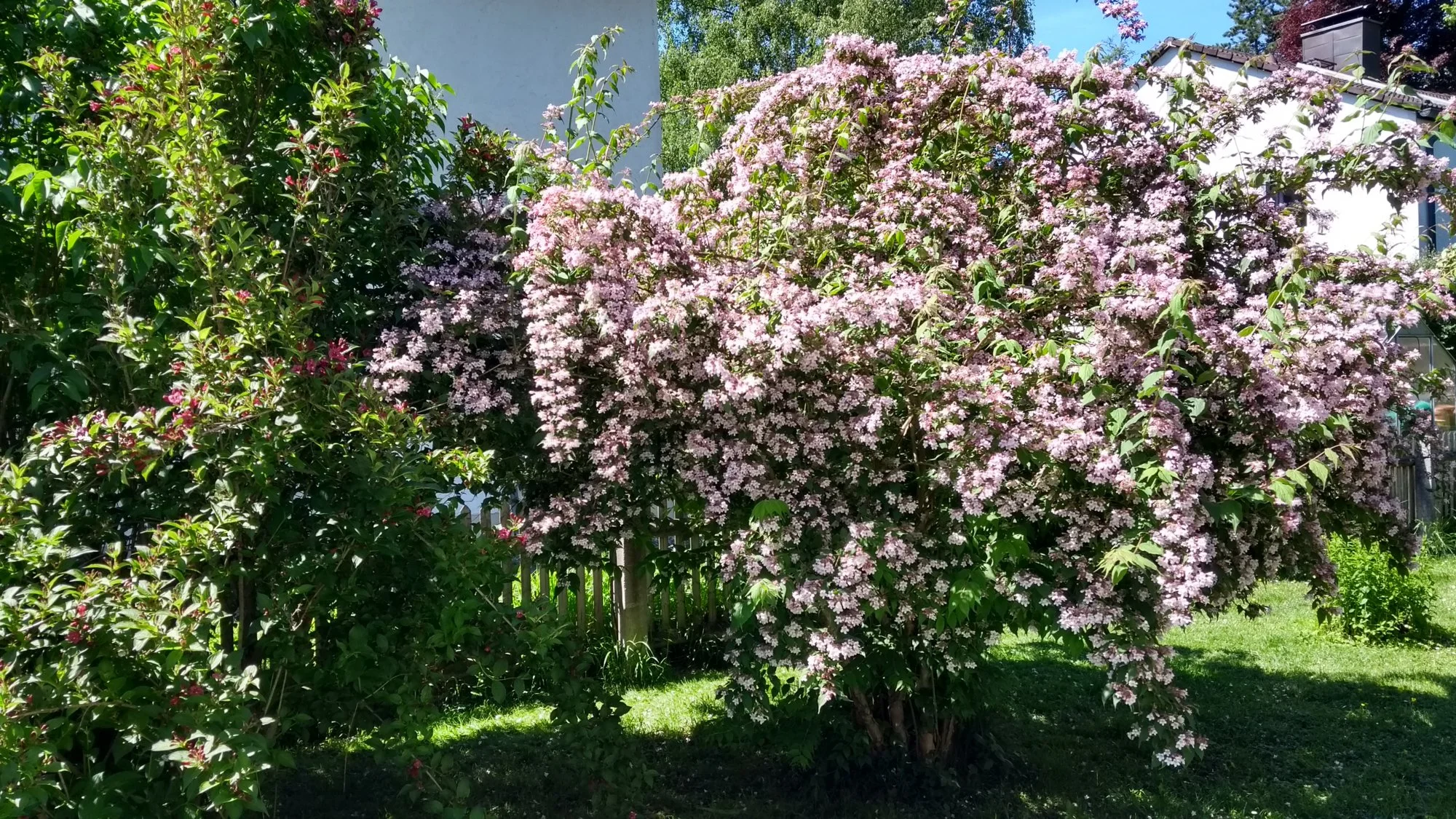 IMG_20190601_111822842_HDR.webp