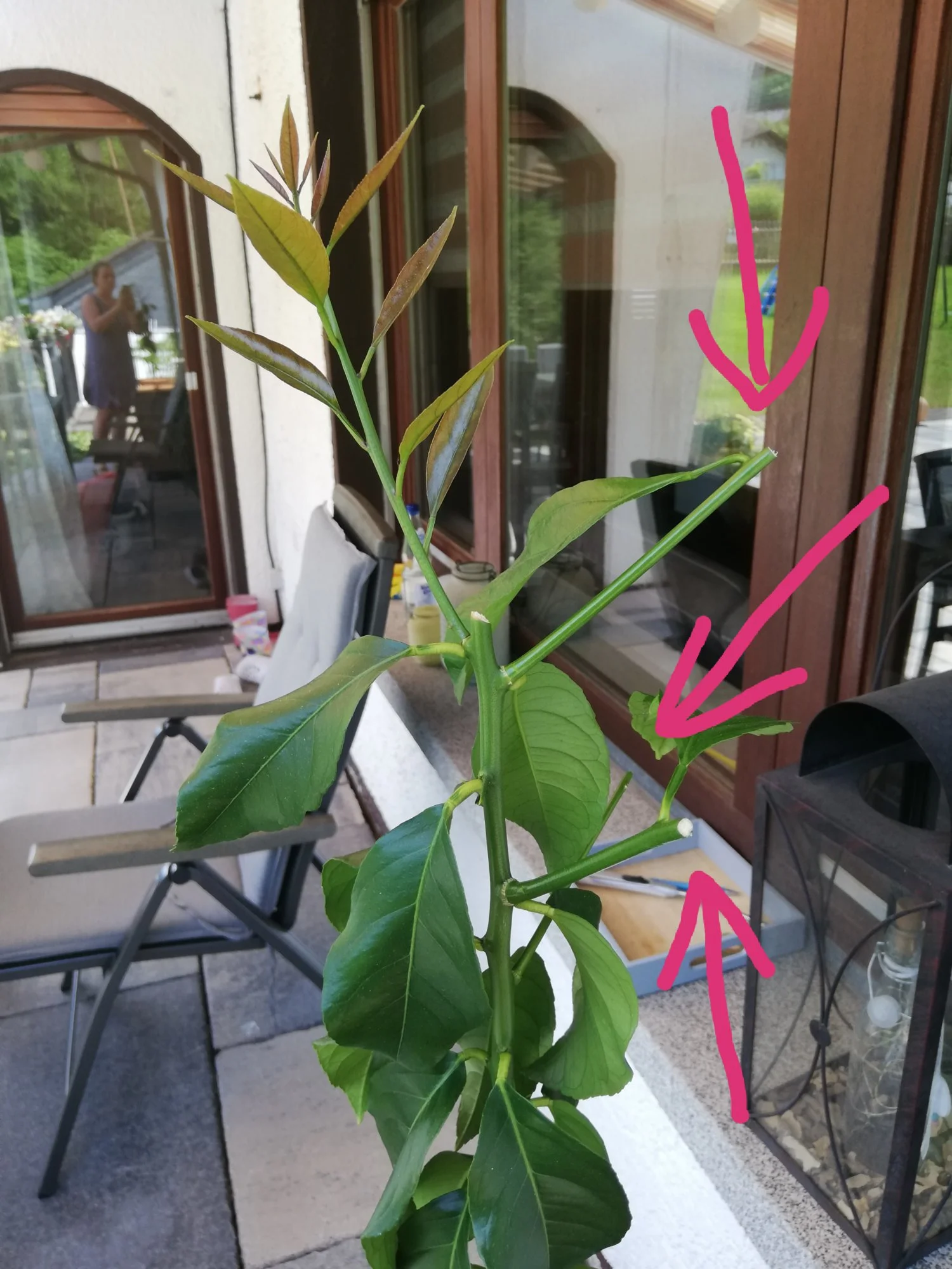 IMG_20190605_150435.webp
