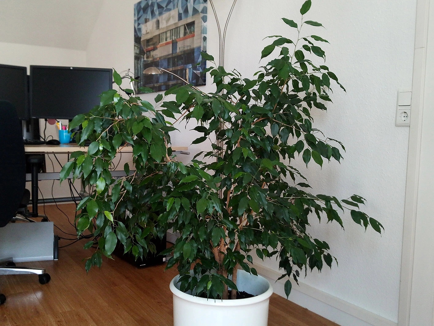 IMG_20190614_143008.webp